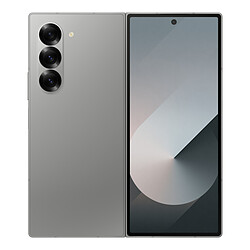 Samsung Galaxy Z Fold6 (Gris) - 512 Go - 12 Go