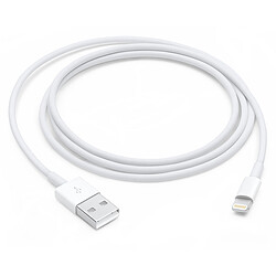 Apple Câble Lightning vers USB - 1 m (2024) Apple Câble Lightning vers USB - 1 m (2024)